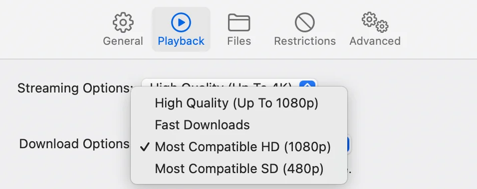 High-Quality Streaming and Download Options