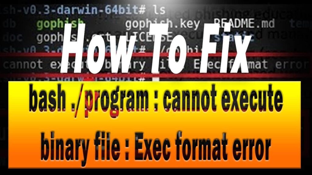 How to resolve the "cannot execute binary file" Error in Linux/Unix?