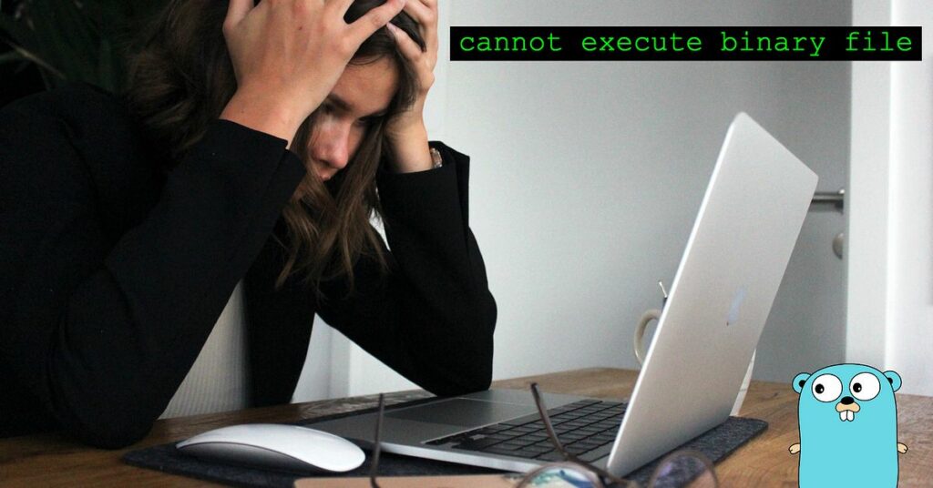 What is “Cannot Execute Binary File Error”?