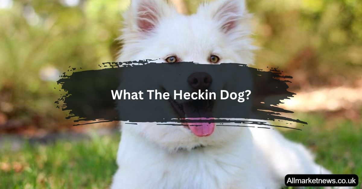 What The Heckin Dog?